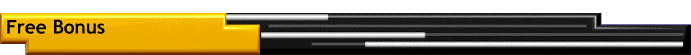 Free Bonus
